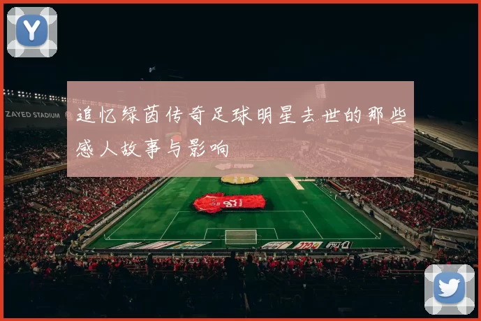 追忆绿茵传奇足球明星去世的那些感人故事与影响
