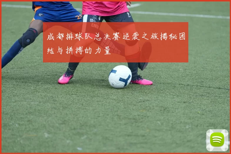 成都排球队总决赛逆袭之旅揭秘团结与拼搏的力量