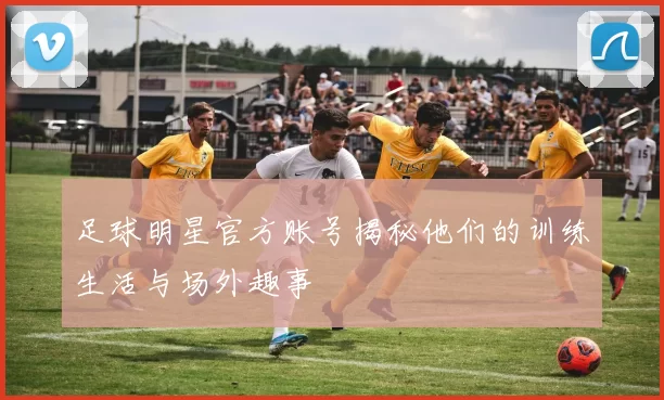 足球明星官方账号揭秘他们的训练生活与场外趣事