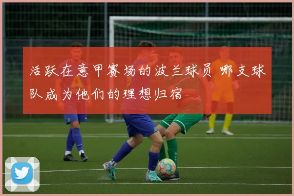 活跃在意甲赛场的波兰球员 哪支球队成为他们的理想归宿