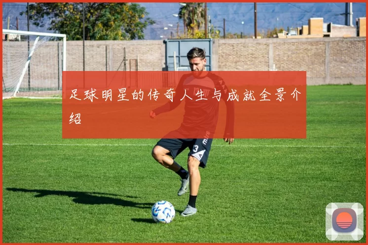 足球明星的传奇人生与成就全景介绍