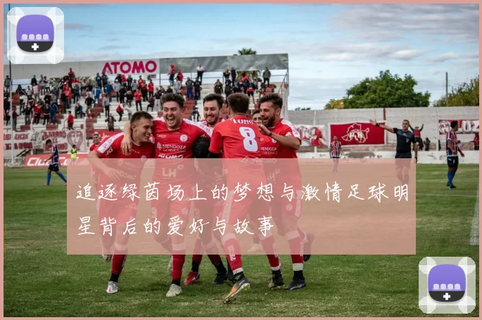 追逐绿茵场上的梦想与激情足球明星背后的爱好与故事