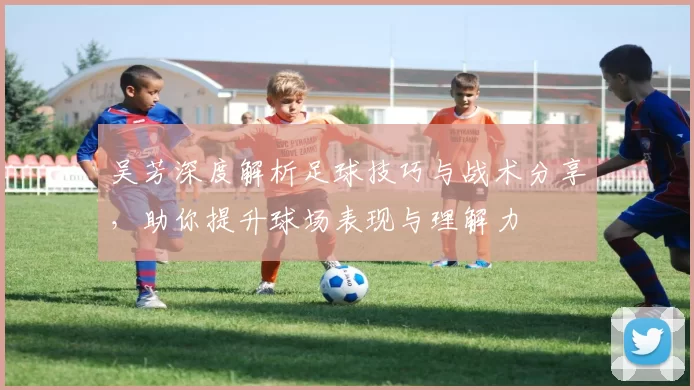 吴芳深度解析足球技巧与战术分享，助你提升球场表现与理解力