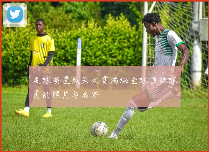 足球明星风采大赏揭秘全球顶级球员的照片与名字