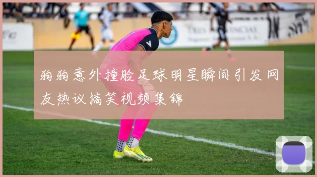 狗狗意外撞脸足球明星瞬间引发网友热议搞笑视频集锦