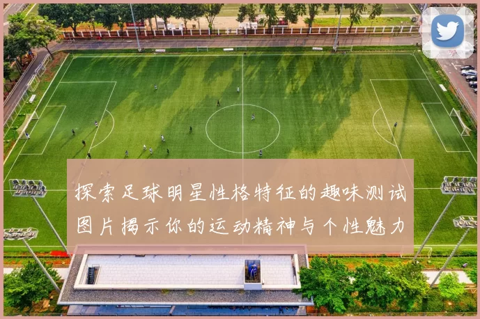 探索足球明星性格特征的趣味测试图片揭示你的运动精神与个性魅力