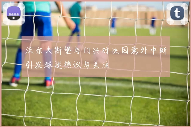 沃尔夫斯堡与门兴对决因意外中断引发球迷热议与关注