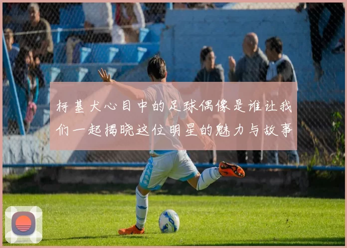 柯基犬心目中的足球偶像是谁让我们一起揭晓这位明星的魅力与故事