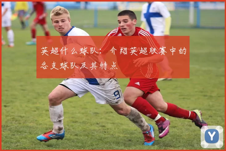英超什么球队：介绍英超联赛中的各支球队及其特点