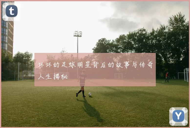坏坏的足球明星背后的故事与传奇人生揭秘