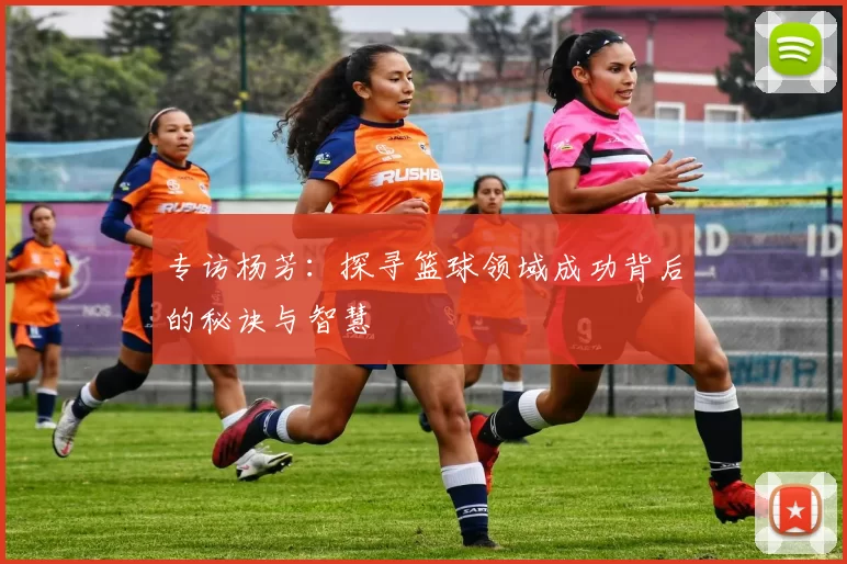专访杨芳：探寻篮球领域成功背后的秘诀与智慧