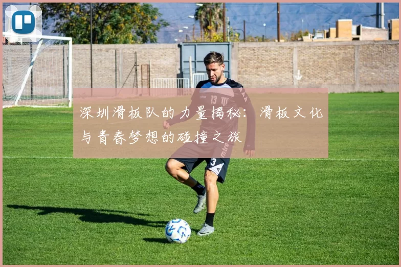 深圳滑板队的力量揭秘：滑板文化与青春梦想的碰撞之旅