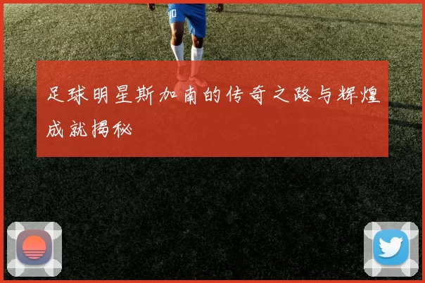 足球明星斯加南的传奇之路与辉煌成就揭秘