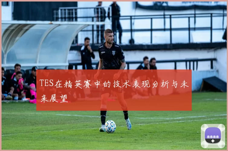 TES在精英赛中的技术表现分析与未来展望