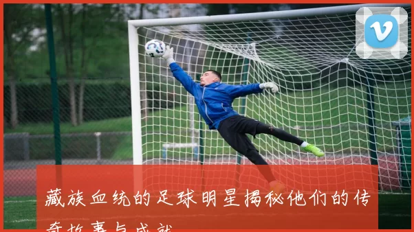 藏族血统的足球明星揭秘他们的传奇故事与成就