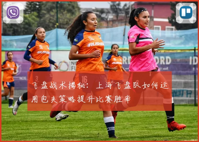 飞盘战术揭秘：上海飞盘队如何运用包夹策略提升比赛胜率