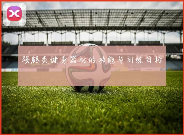 踢腿类健身器材的功能与训练目标