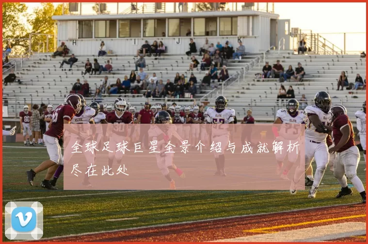 全球足球巨星全景介绍与成就解析尽在此处