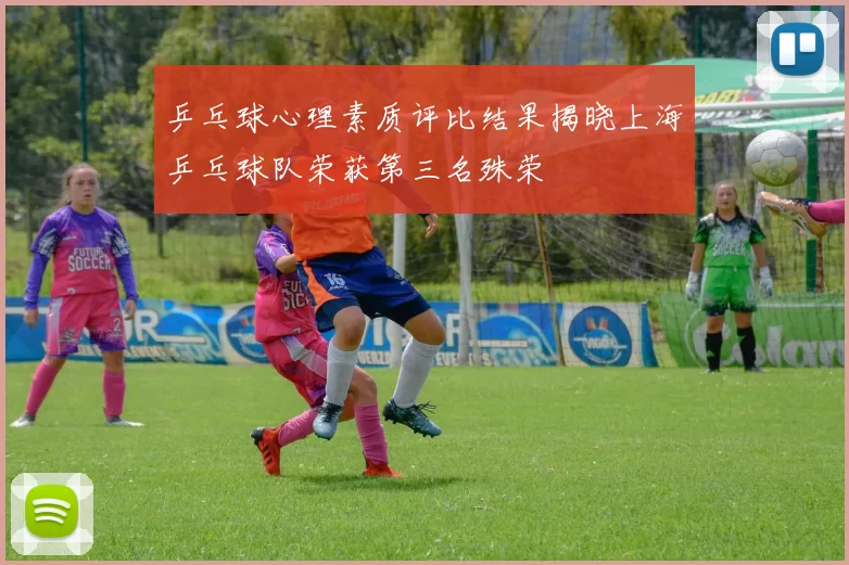 乒乓球心理素质评比结果揭晓上海乒乓球队荣获第三名殊荣