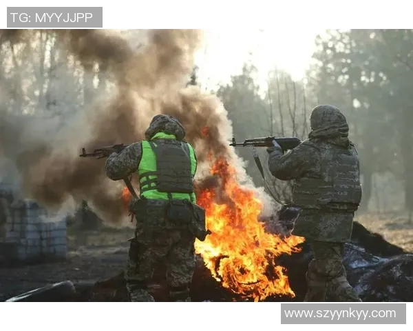 WE战术解析：如何构建有效的反击体系以应对敌方策略